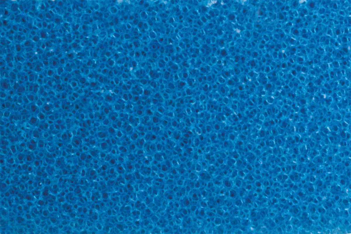 RUPES COARSE FOAM POLISHING PADS